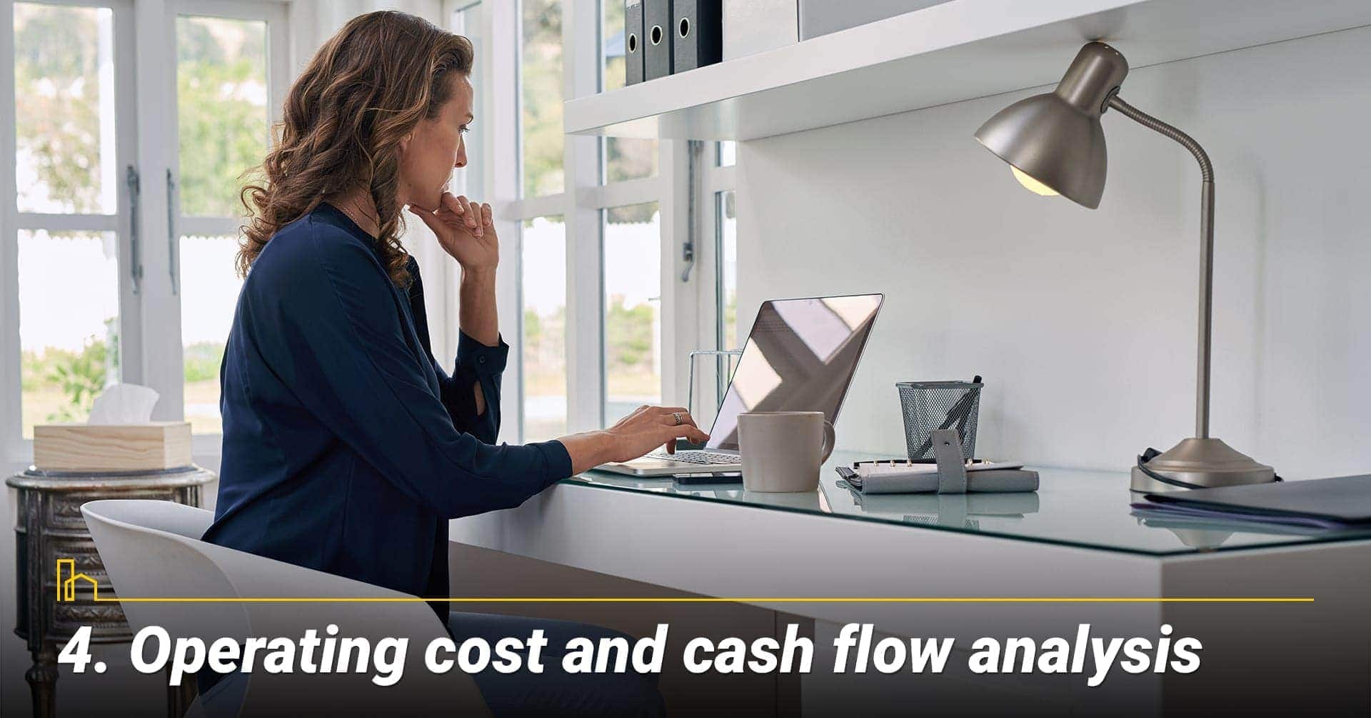 Operating cost and cash flow analysis, conduct your own analysis