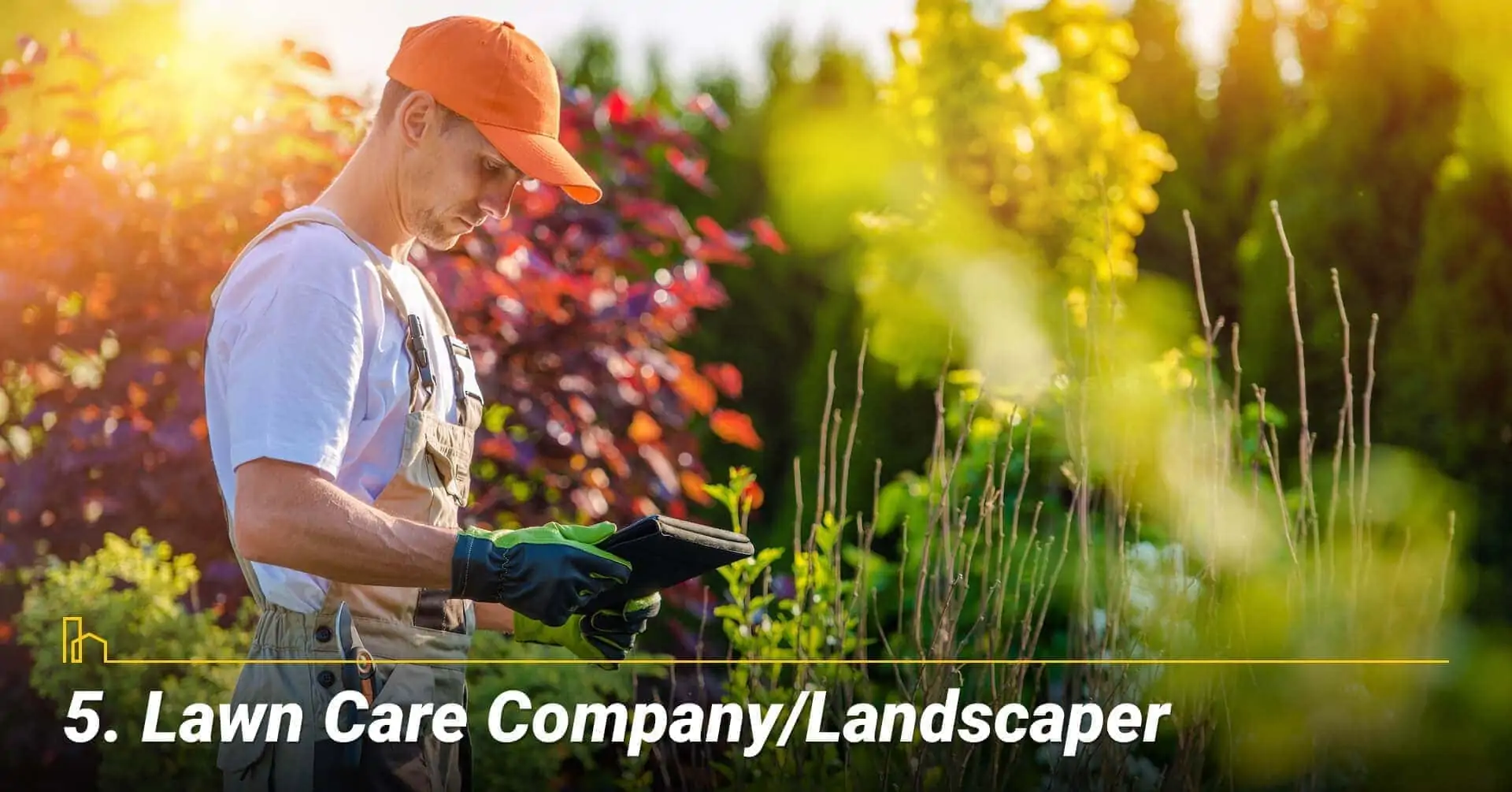 Lawn Care Company/Landscaper, get help maintain your lawn