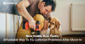 New Home, New Flaws: Affordable Way to Fix Common Problems After Move-In