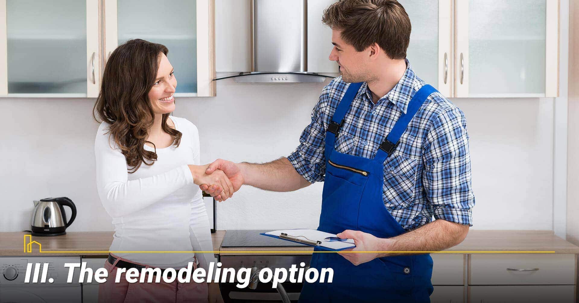 The remodeling option, planning to remodel your home