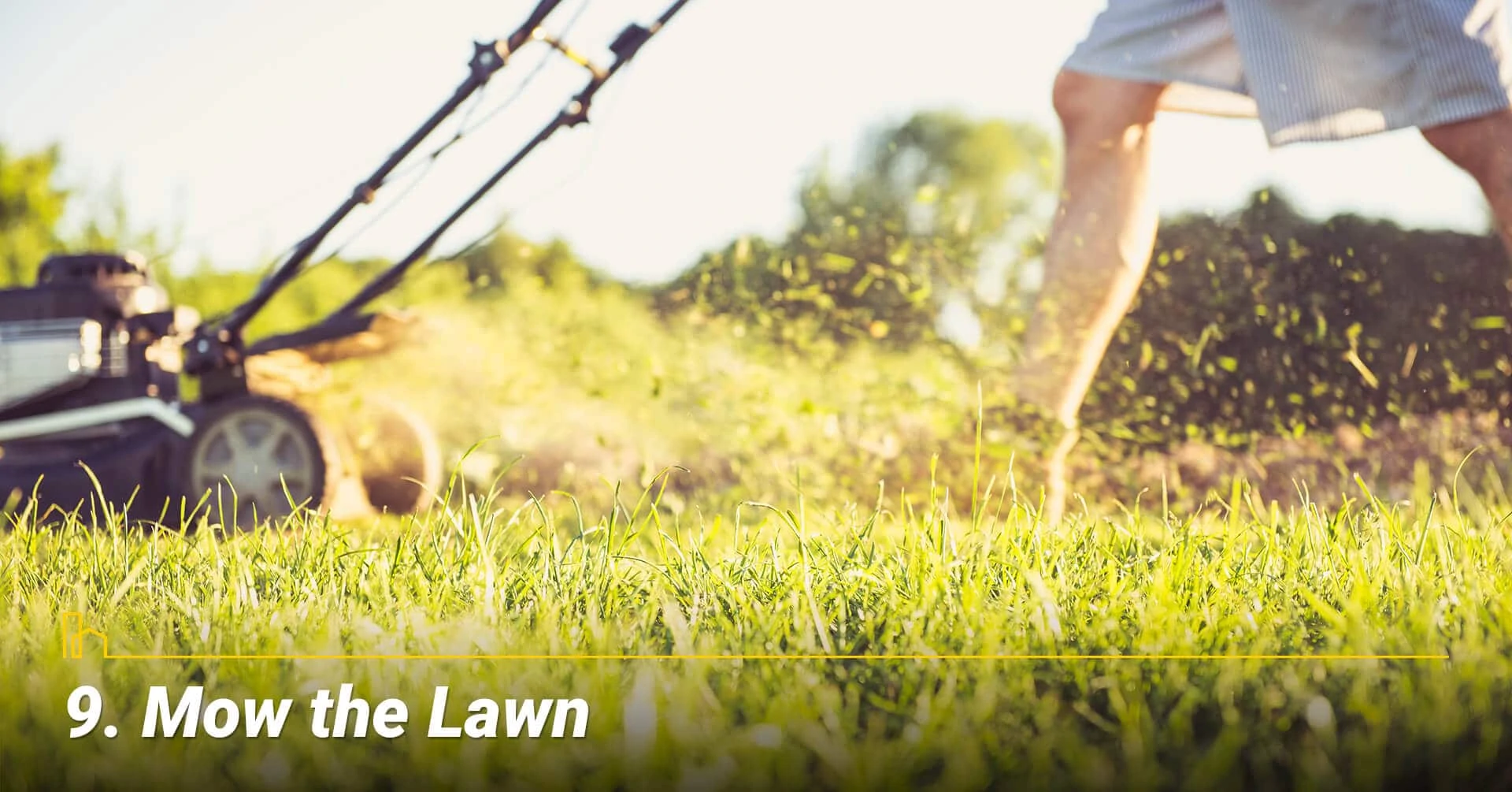 Mow the Lawn, keep your lawn in top shape