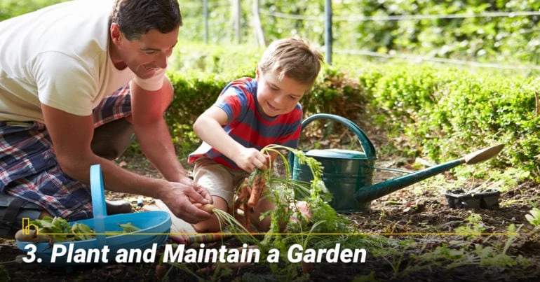 Plant and Maintain a Garden, stay busy with your garden