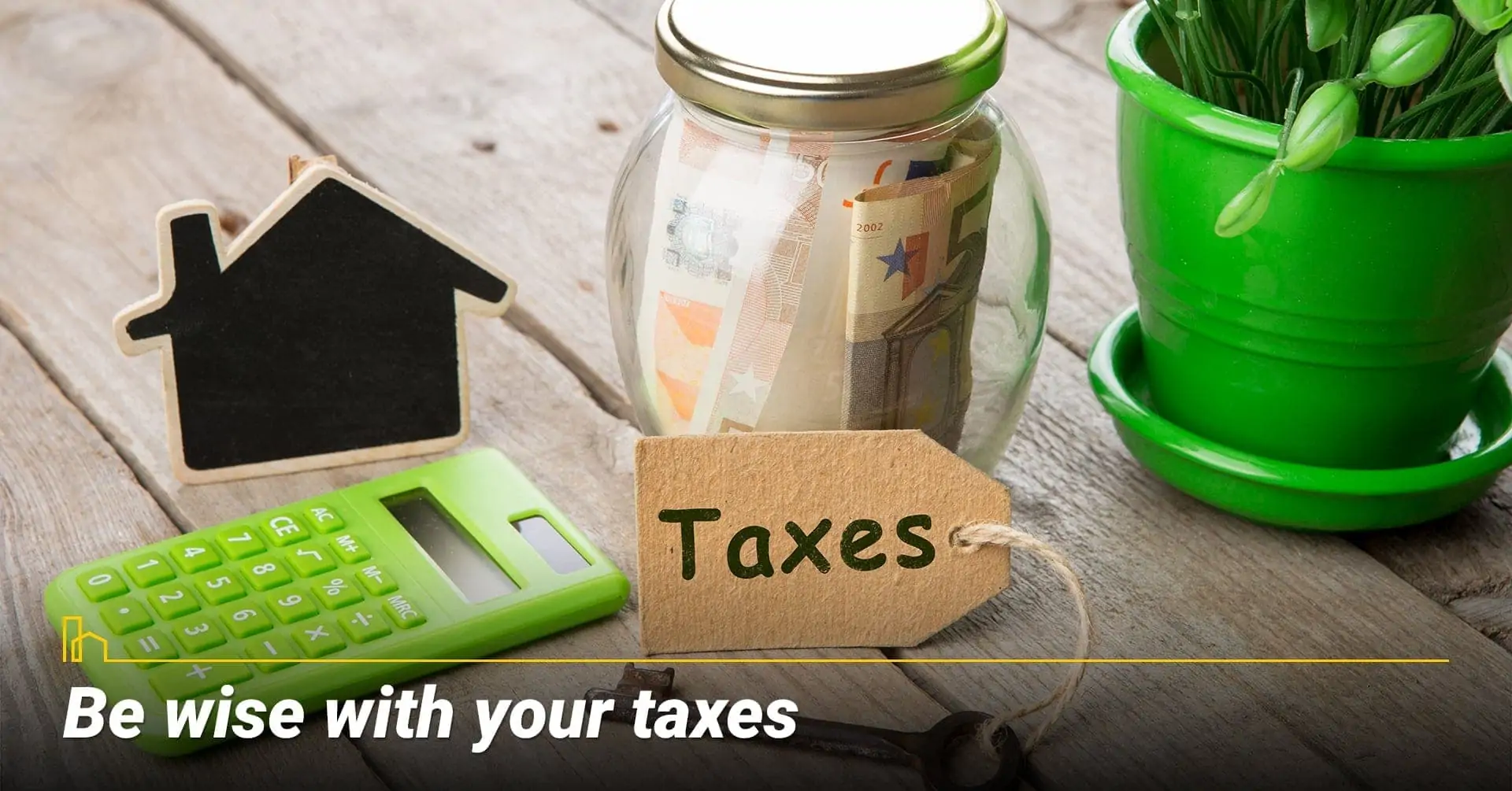 Be wise with your taxes, use tax advisor