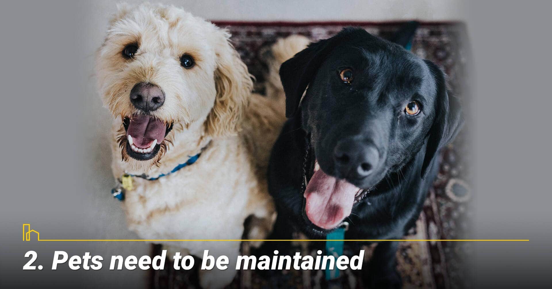 Pets need to be maintained, keep your pet in designated areas