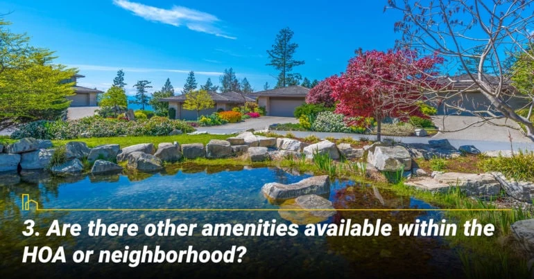 Are there other amenities available within the HOA or neighborhood? Look for other amenities in the neighborhood