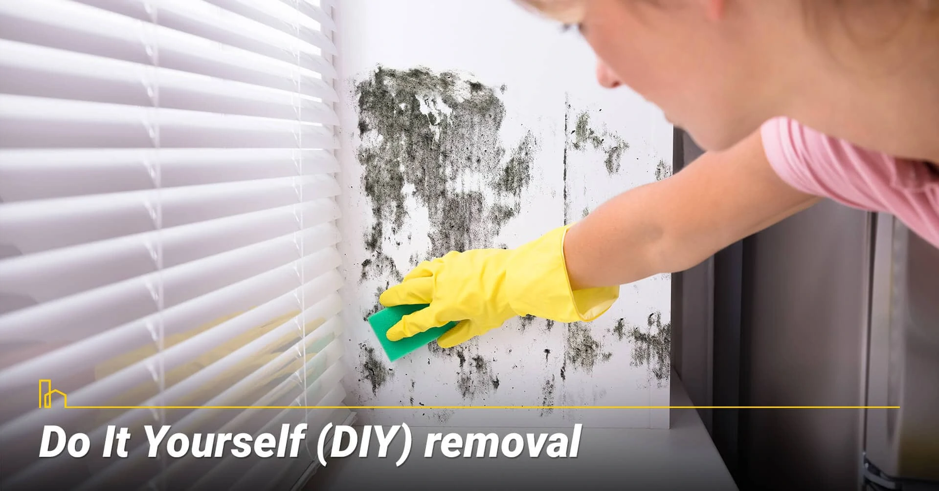 Do It Yourself (DIY) removal, remove mold yourself