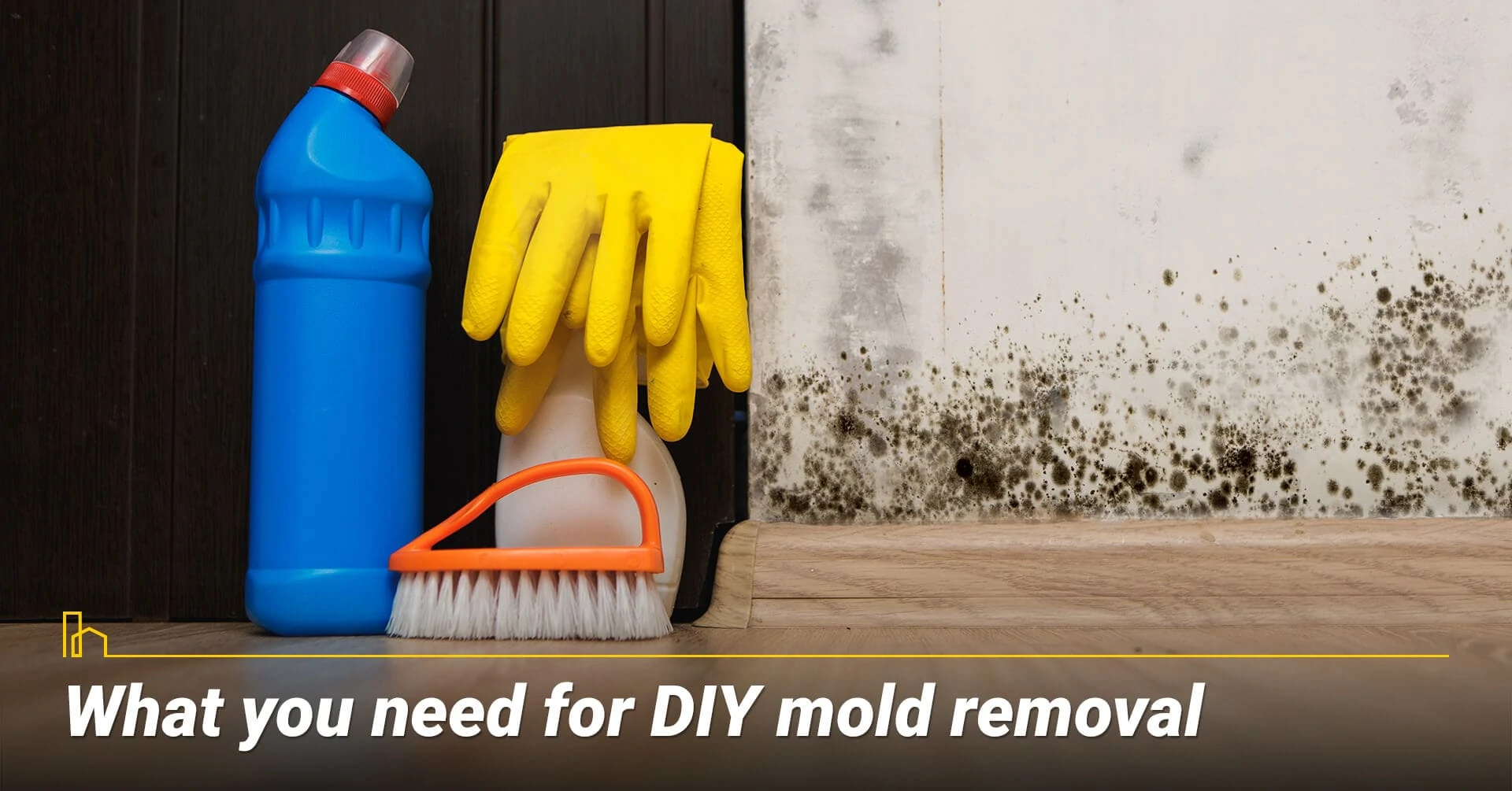 What you need for DIY mold removal, supplies you need to remove mold yourself