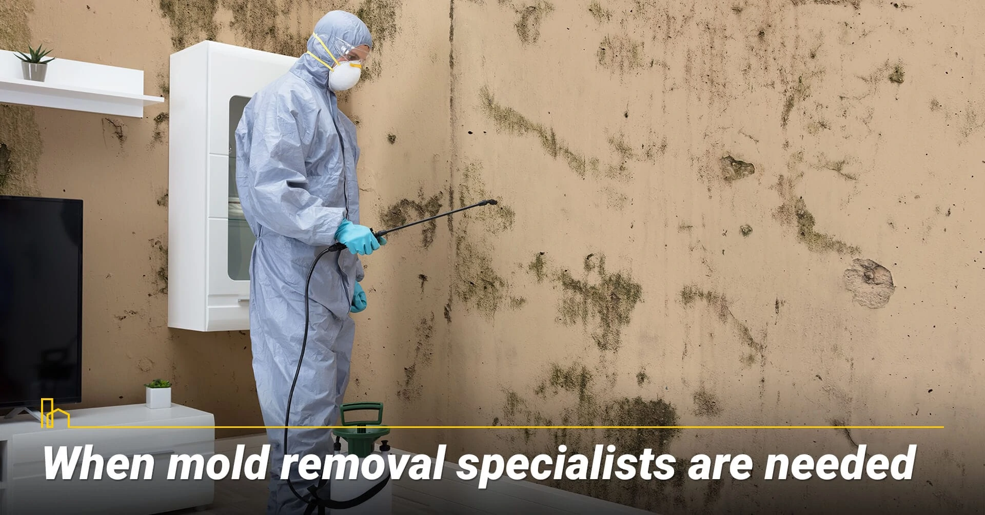 When mold removal specialists are needed, when you need professional help