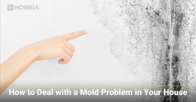 How to Deal with a Mold Problem in Your House