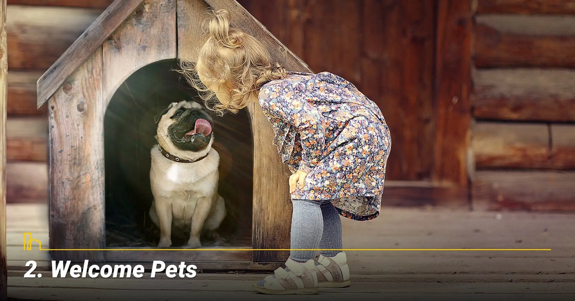Welcome Pets, adopt new pets