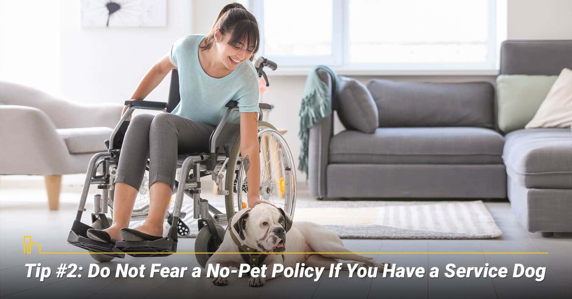Tip #2: Do Not Fear a No-Pet Policy If You Have a Service Dog, can have service animals Tip #2: Do Not Fear a No-Pet Policy If You Have a Service Dog, can have service animals