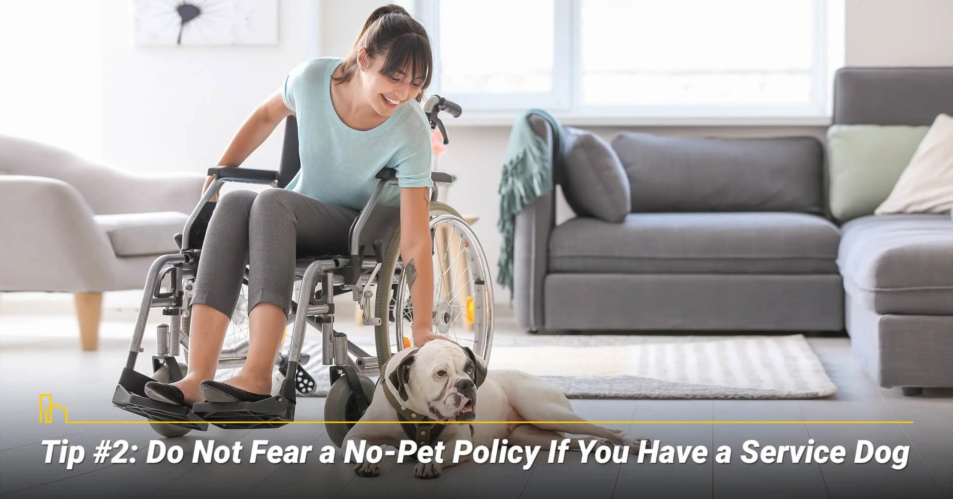 Tip #2: Do Not Fear a No-Pet Policy If You Have a Service Dog, can have service animals