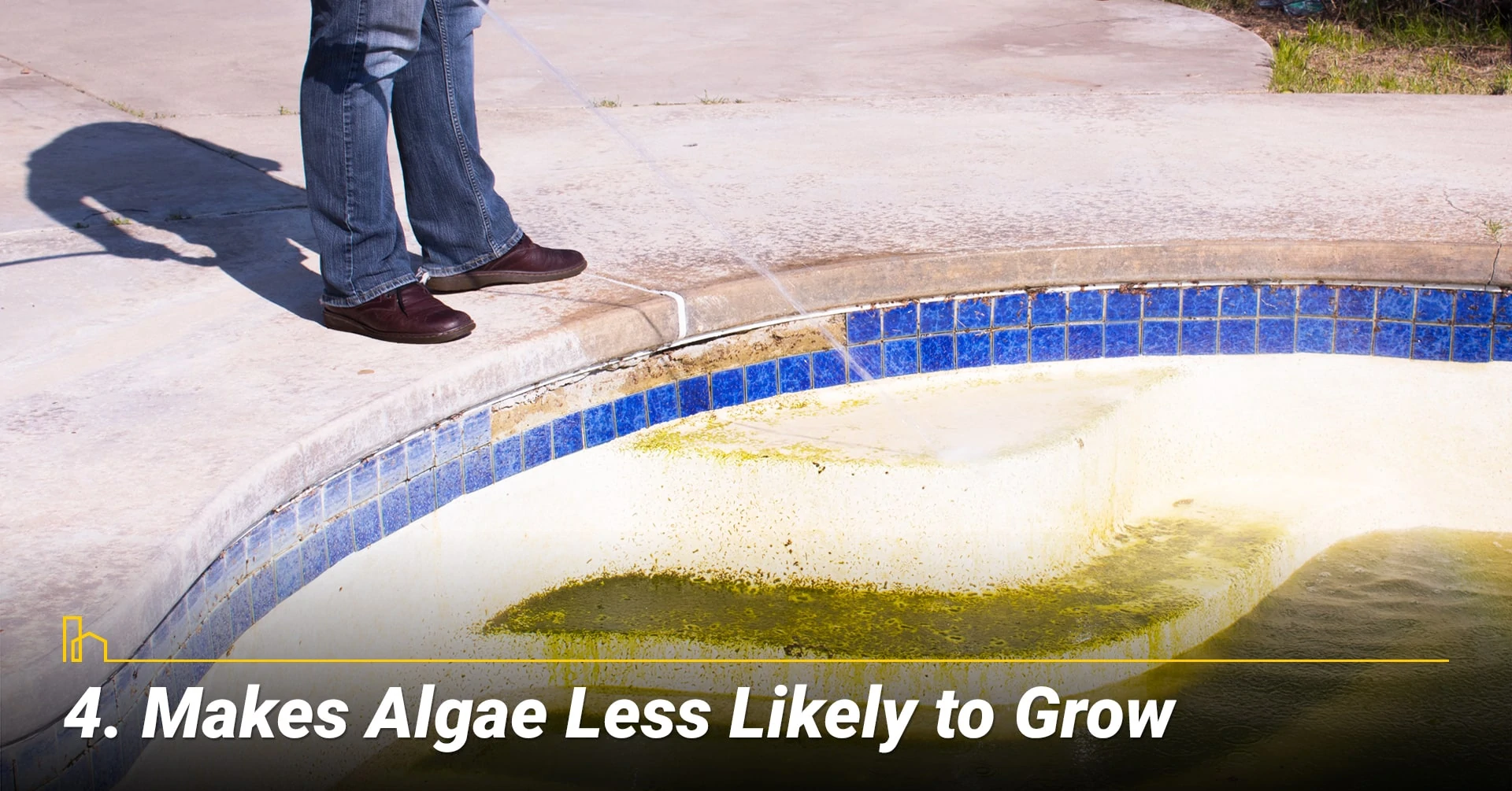 Makes Algae Less Likely to Grow, keep away algae