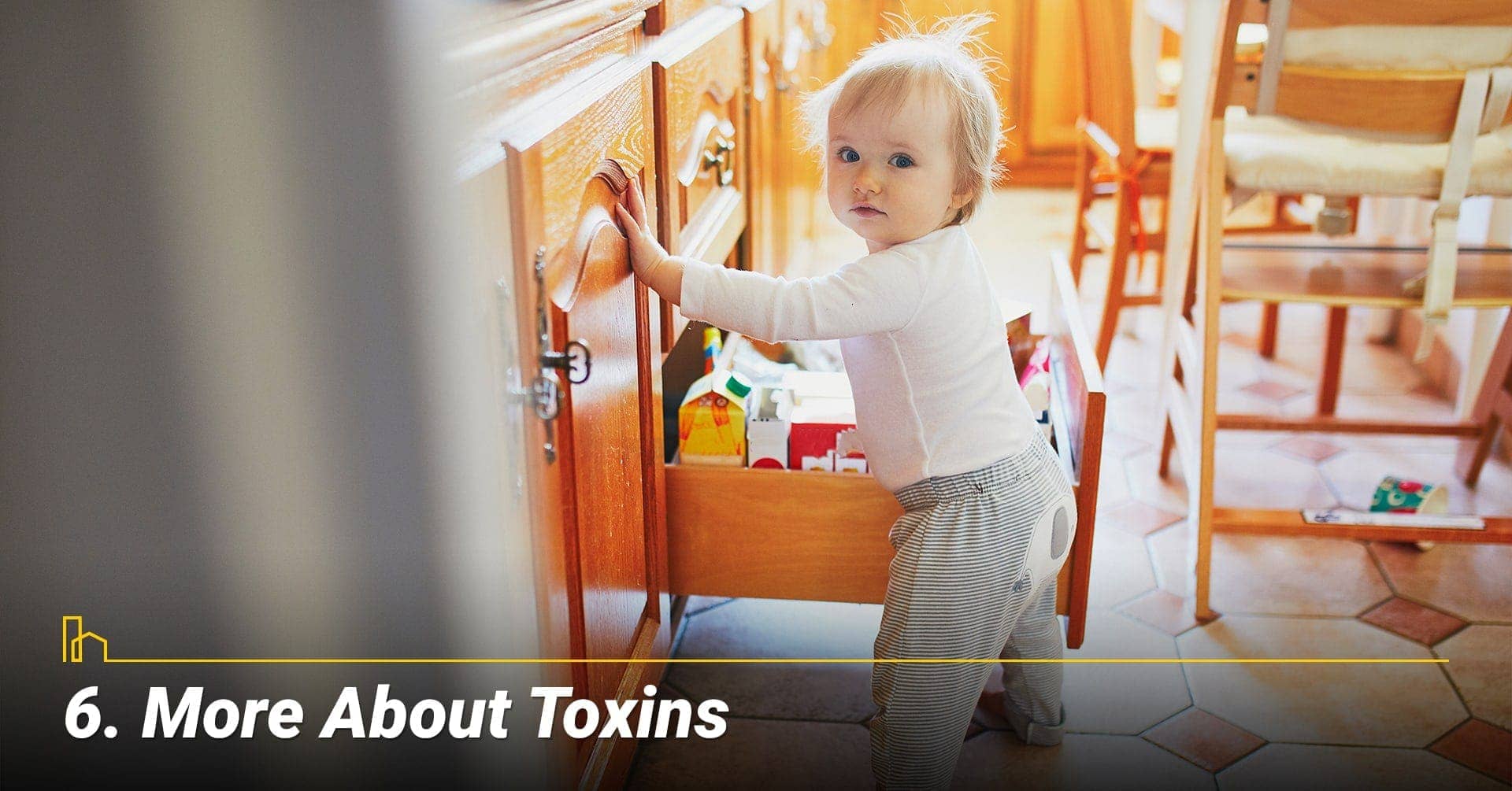 More About Toxins, keep household chemicals out of children reach