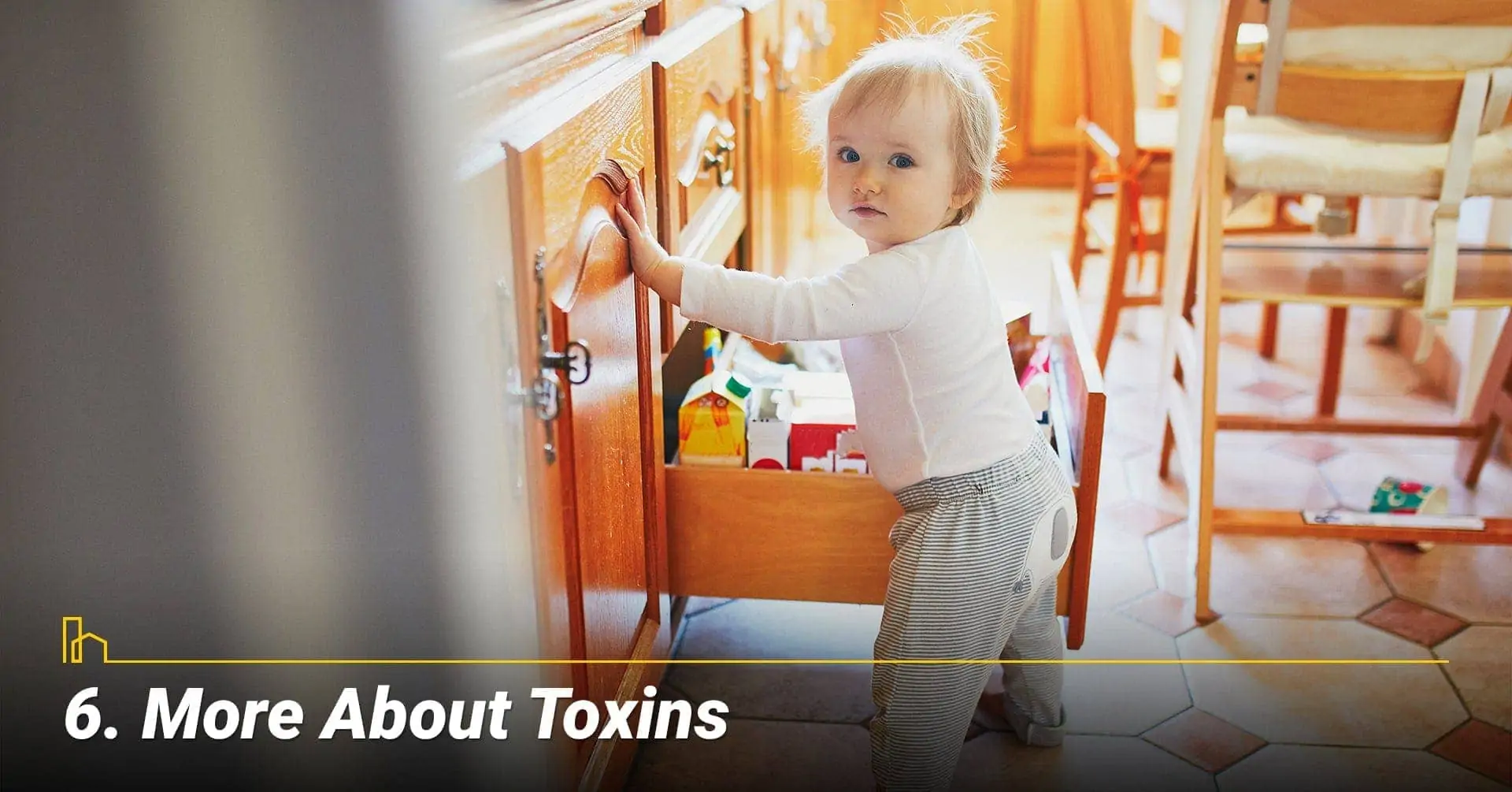 More About Toxins, keep household chemicals out of children reach