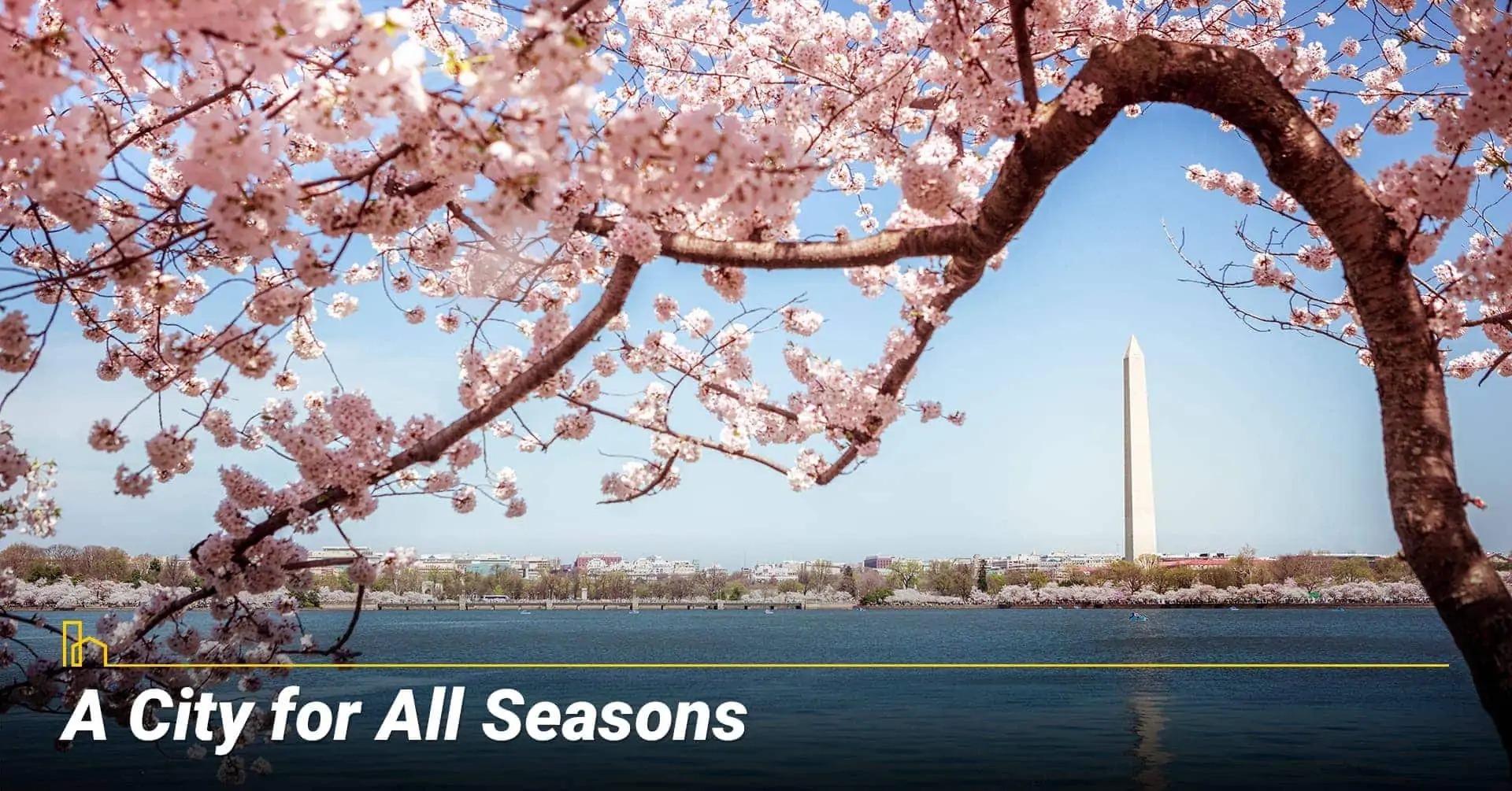 A City for All Seasons in Washington, DC