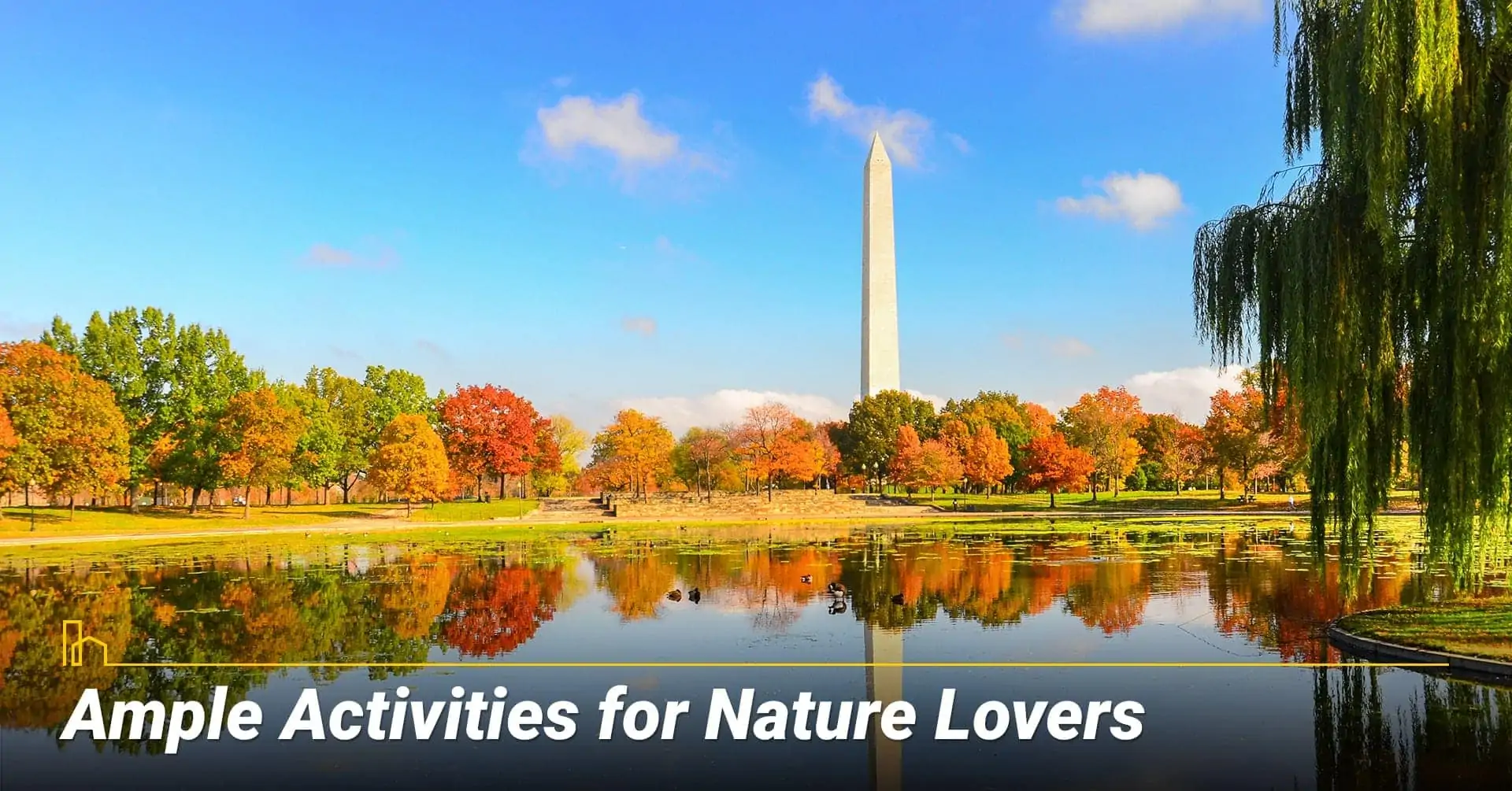 Ample Activities for Nature Lovers in Washington, DC
