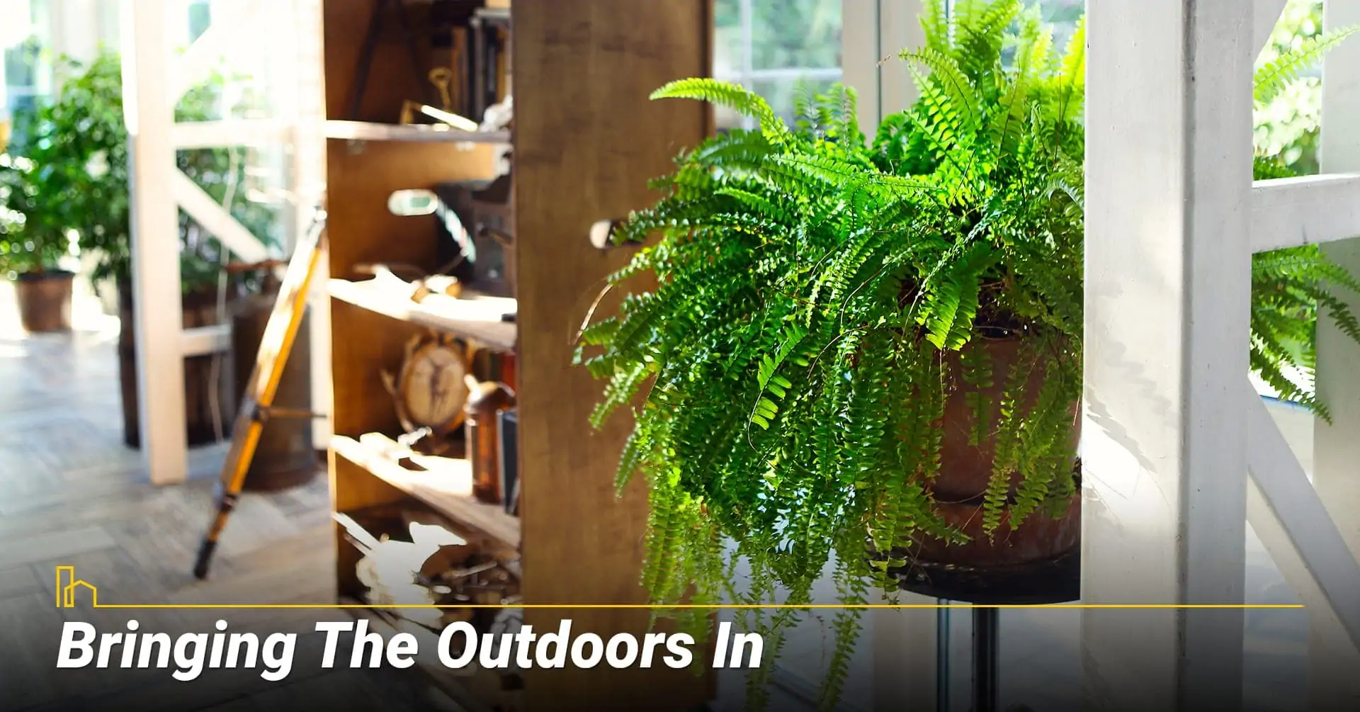 Bringing The Outdoors In, add some plants