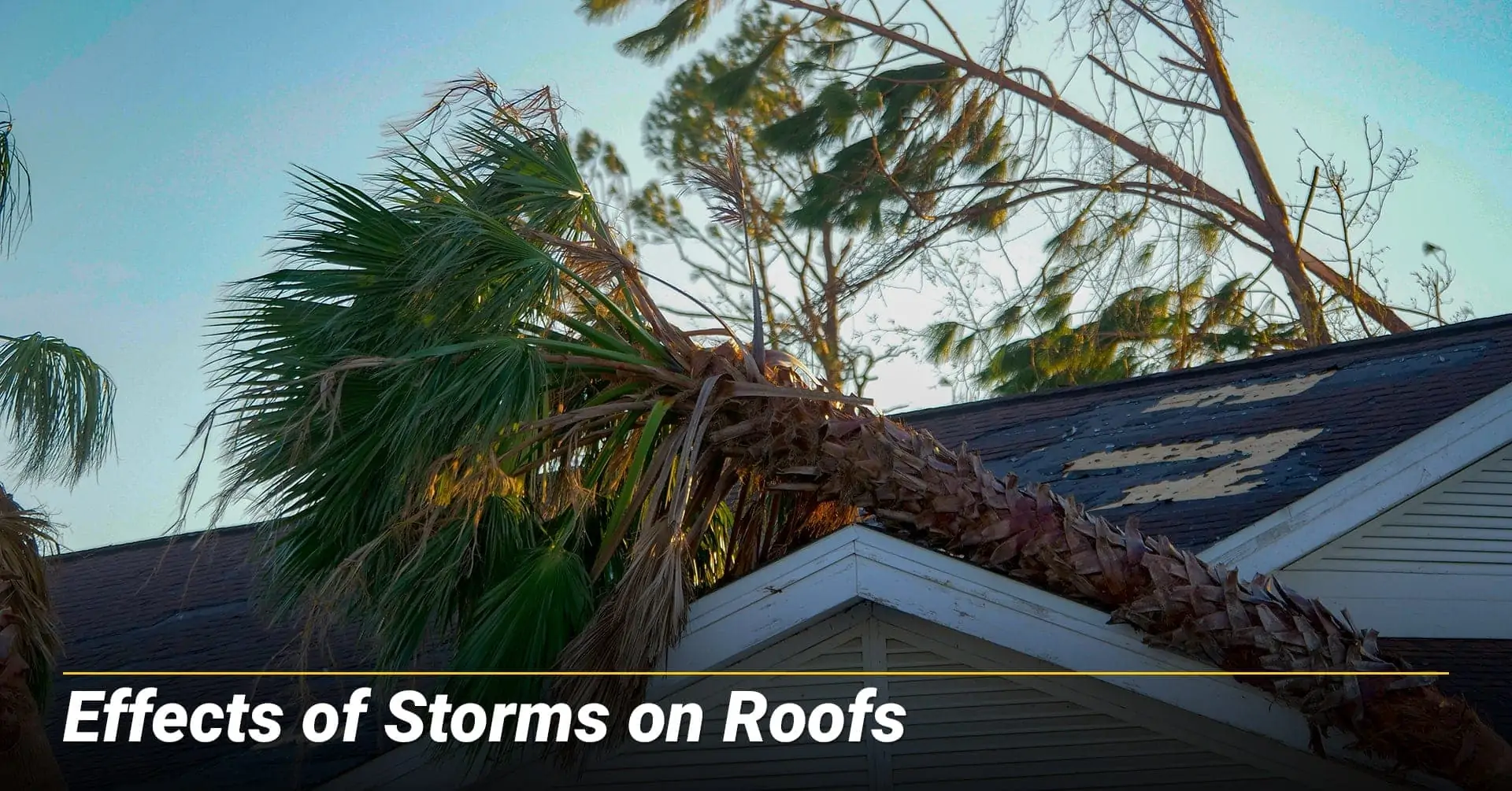 Effects of Storms on Roofs, storm can cause damage to your roof