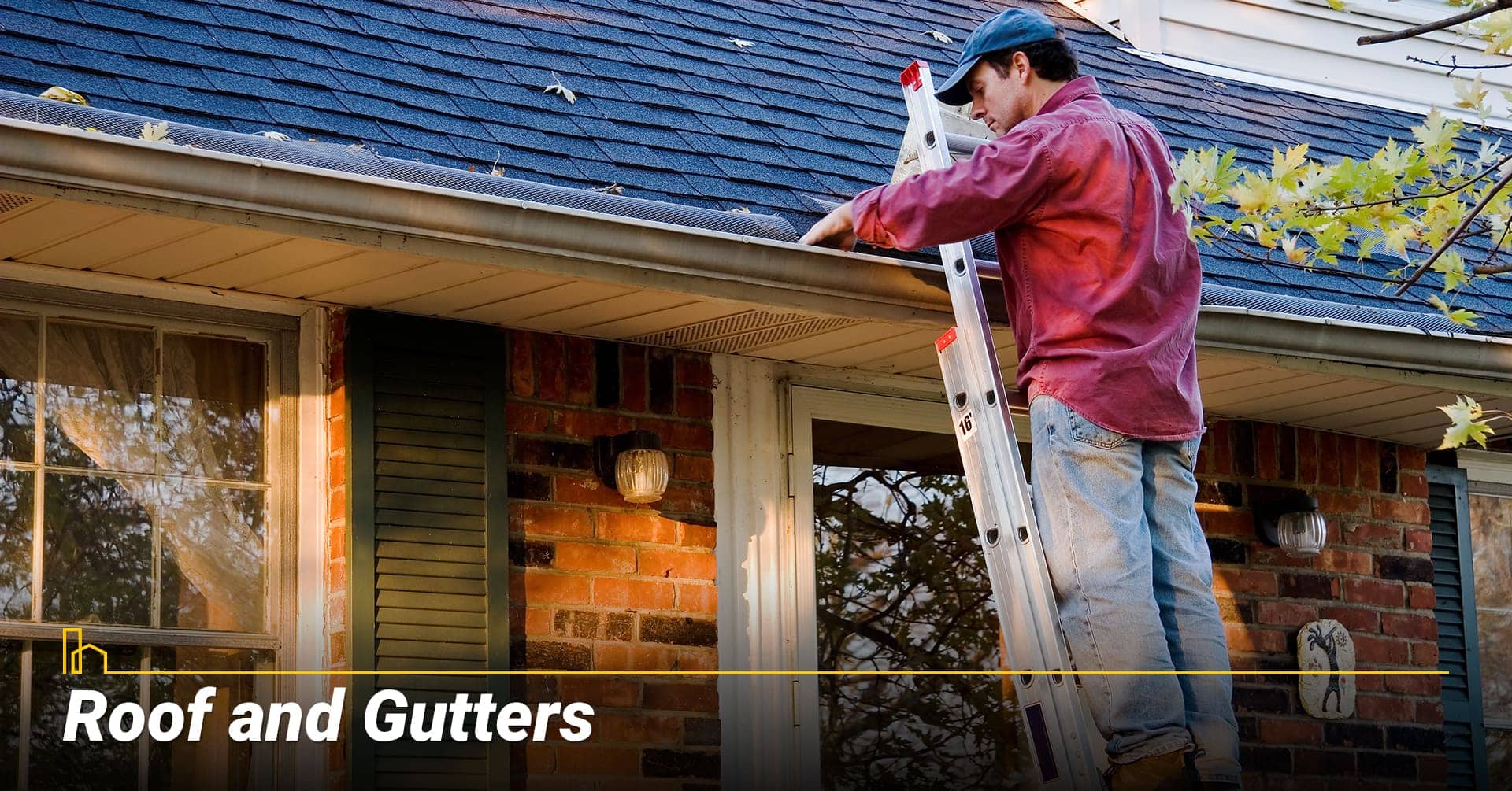Roof and Gutters, check the conditions of your roof and gutters