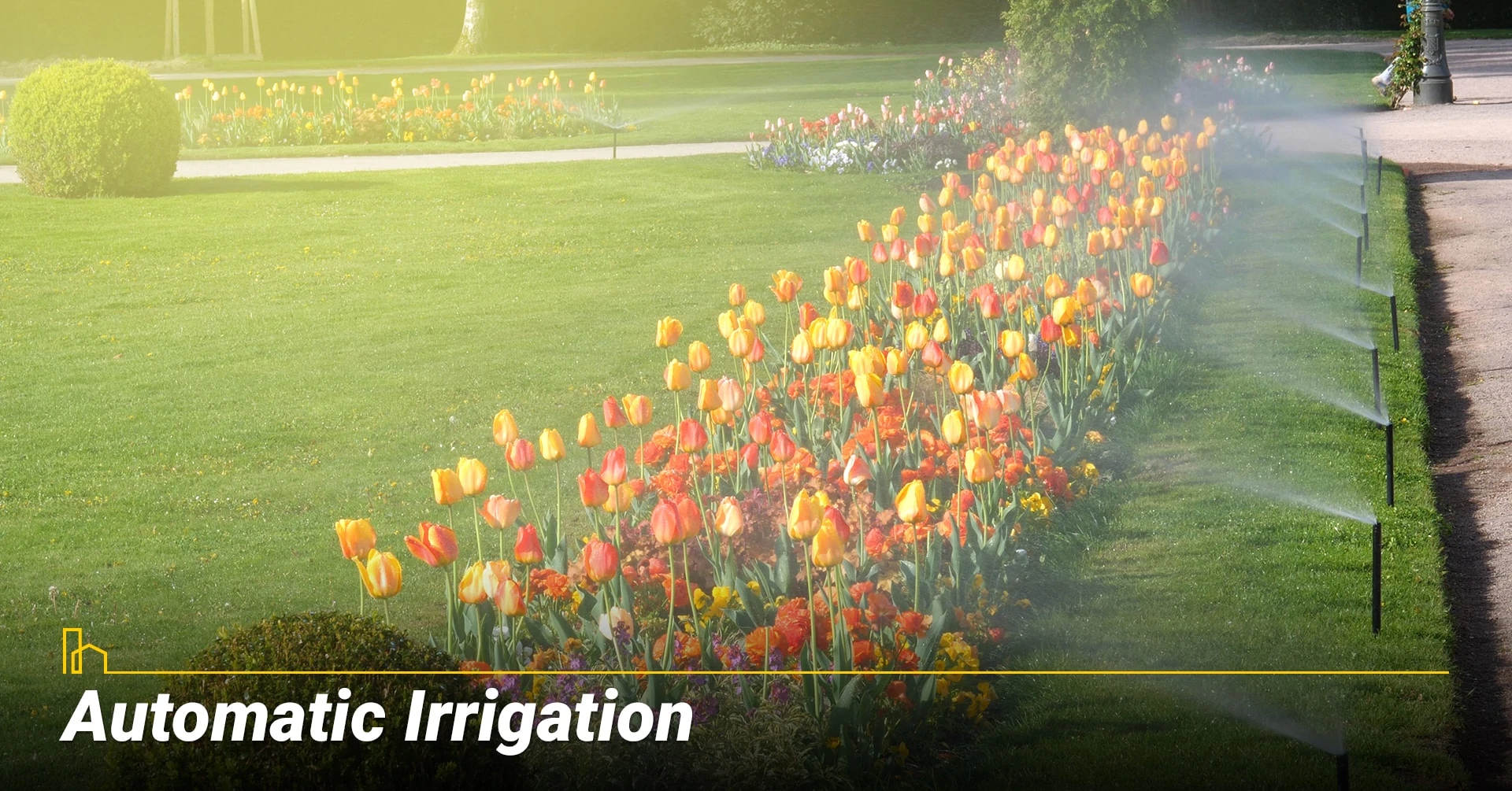 Automatic Irrigation, use automatic system to water your lawn