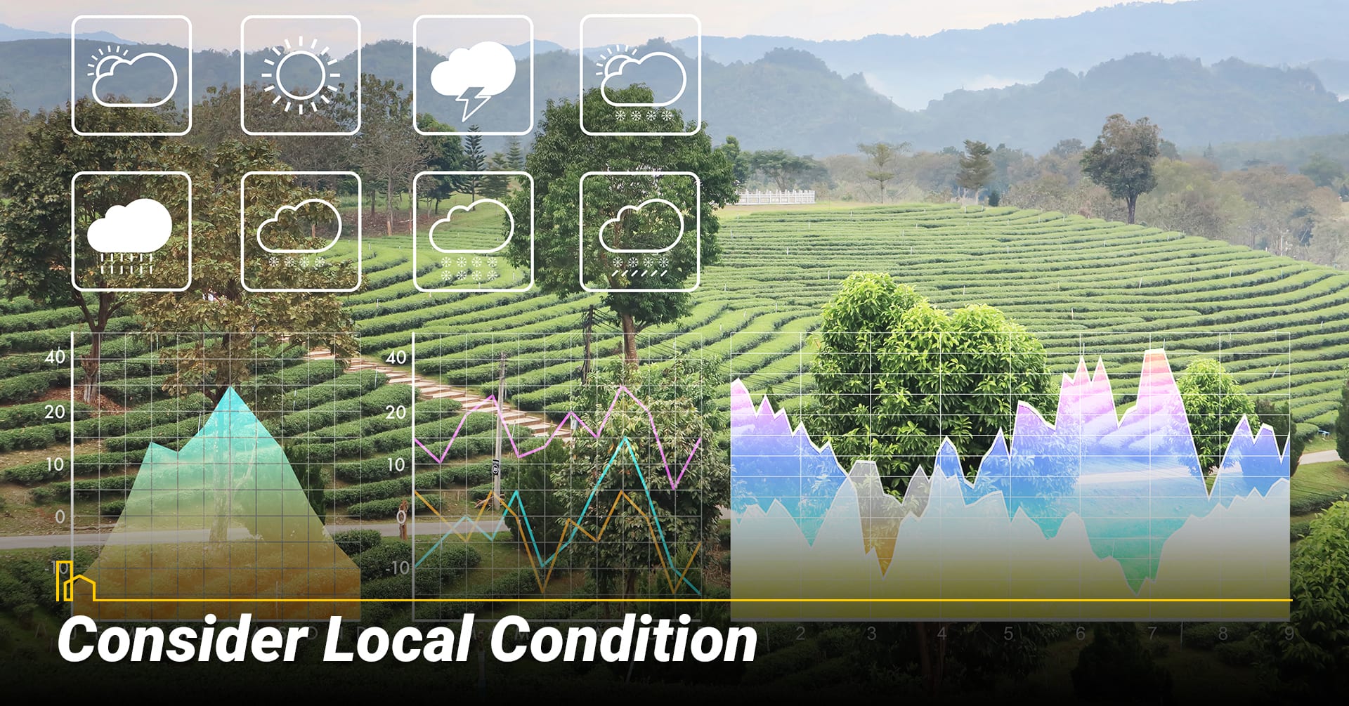 Consider Local Conditions Consider Local Conditions & weather