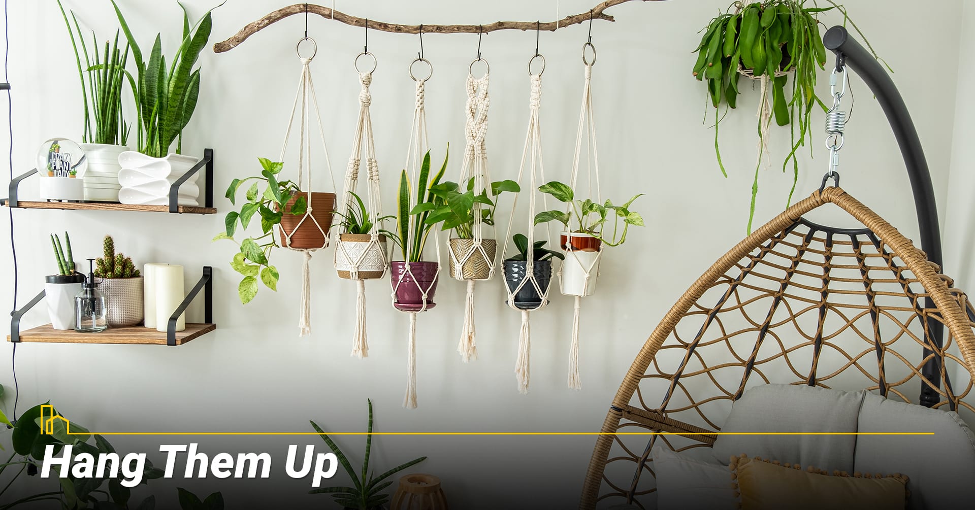Hang Them Up, Hang flower pots Hang Them Up, Make good use of indoor plants