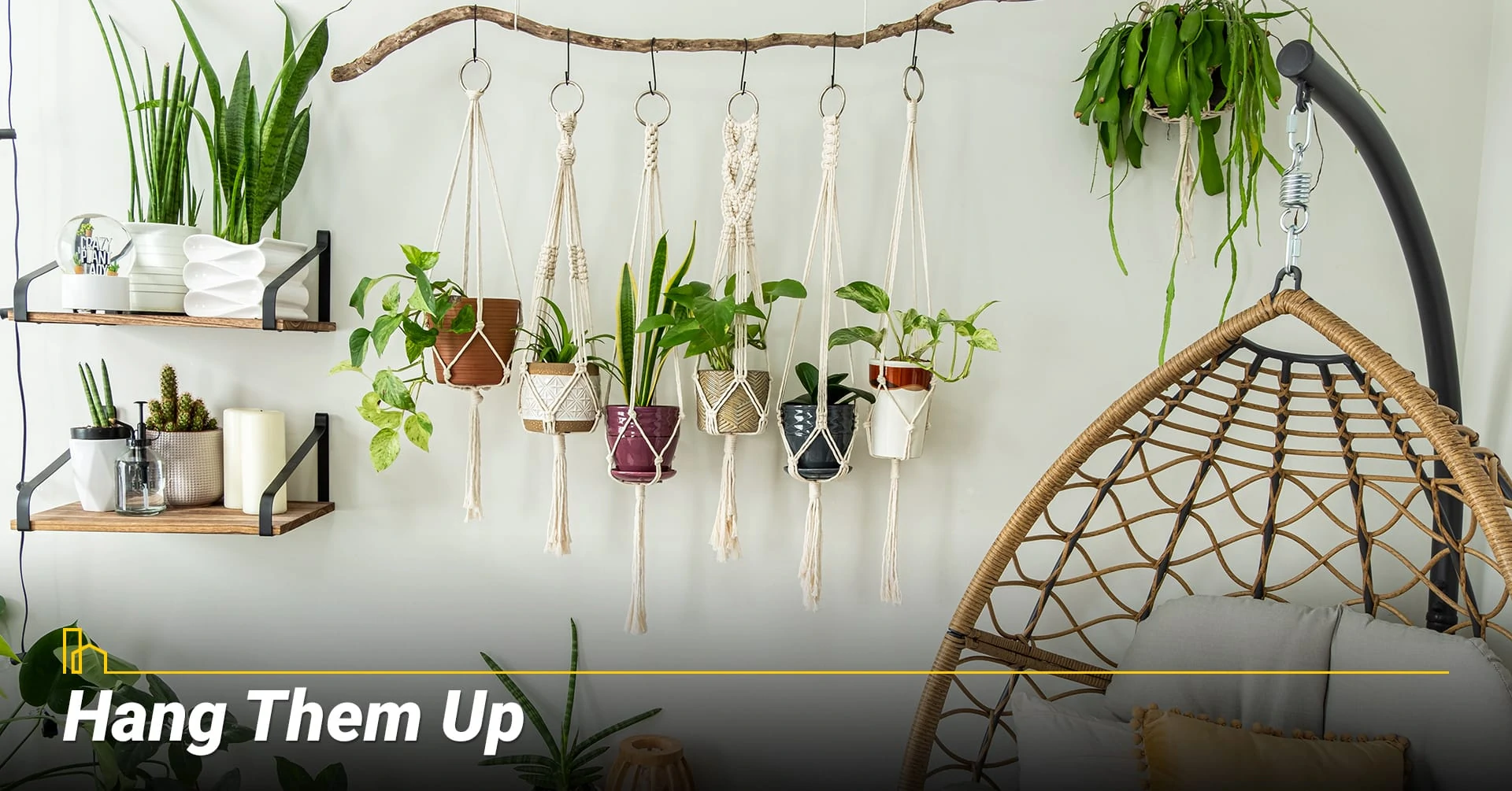 Hang Them Up, Make good use of indoor plants