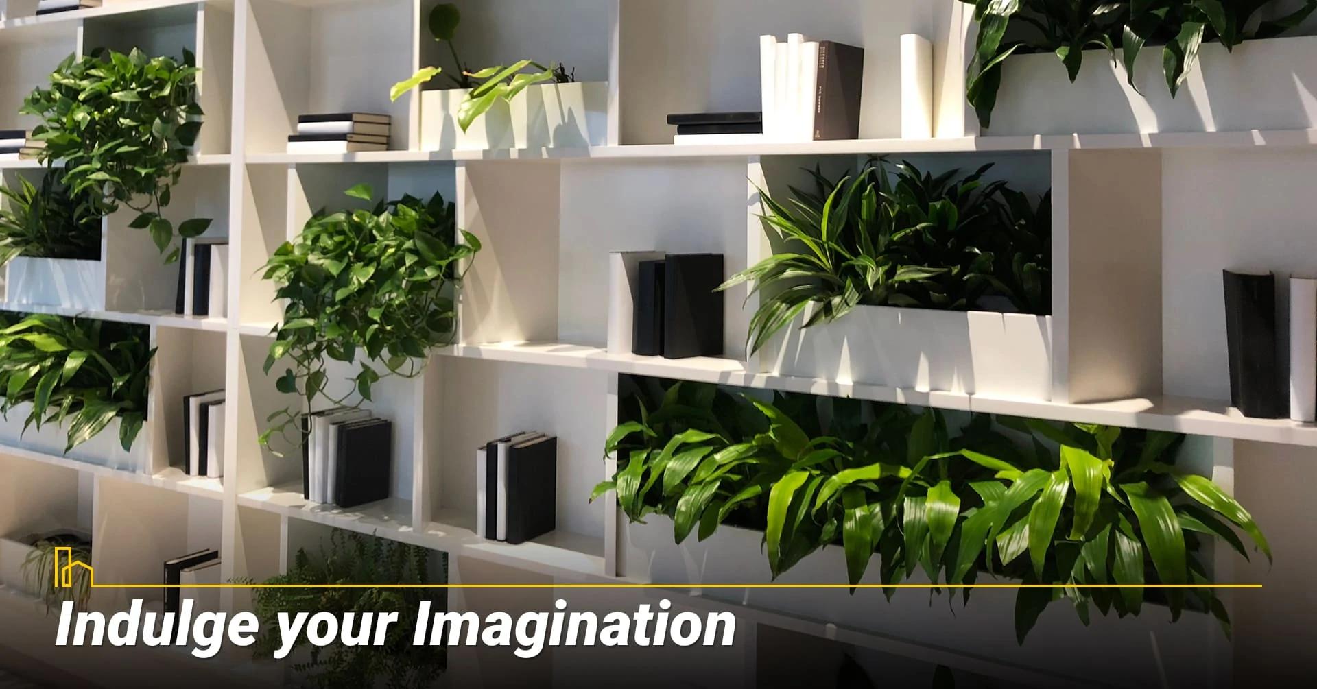 Indulge your Imagination, be creative with your green