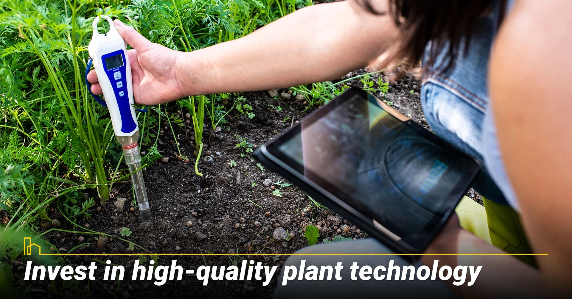 Invest in high-quality plant technology