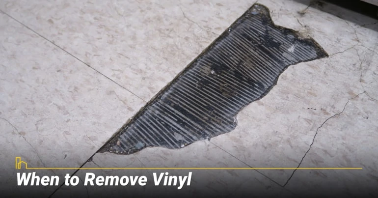 When to Remove Vinyl