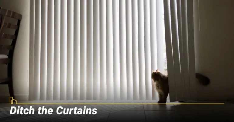 Ditch the Curtains