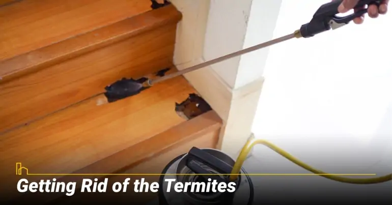 Getting Rid of the Termites