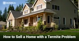 How to Sell a Home with a Termite Problem