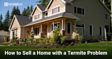 How to Sell a Home with a Termite Problem