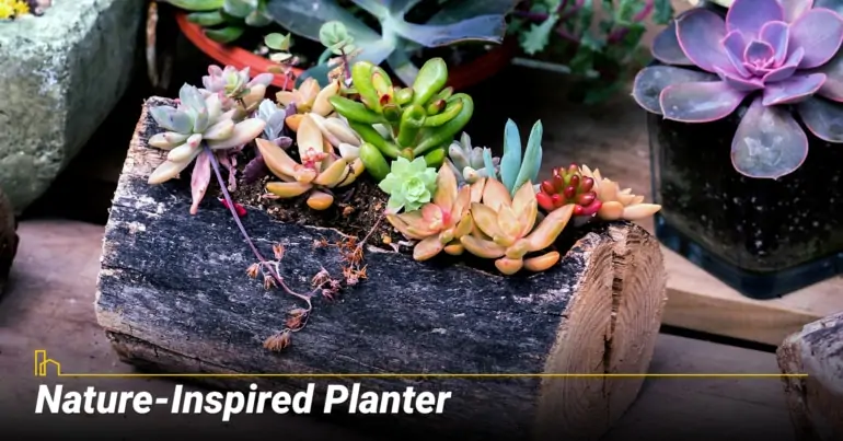 Nature-Inspired Planter