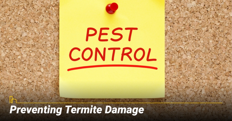 Preventing Termite Damage Preventing Termite Damage