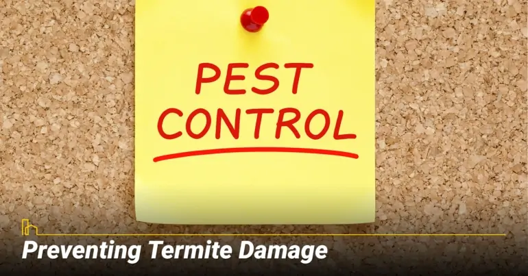 Preventing Termite Damage