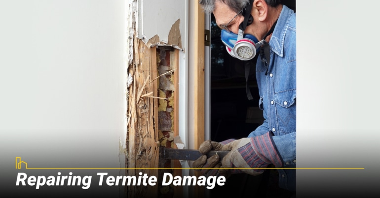 Repairing Termite Damage Repairing Termite Damage