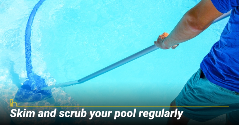 Skim and scrub your pool regularly