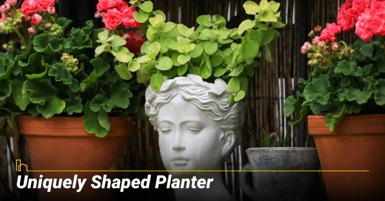 Uniquely Shaped Planter