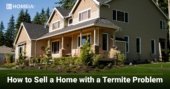 How to Sell a Home with a Termite Problem