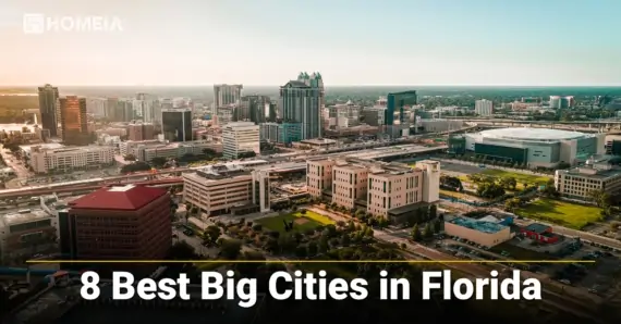 The 8 Largest Cities in Fla