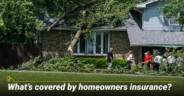 What’s covered by homeowners insurance?