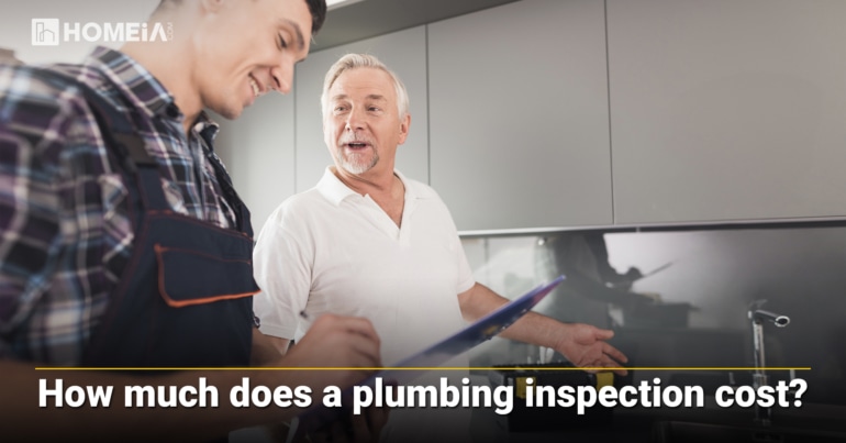 How much does a plumbing inspection cost?