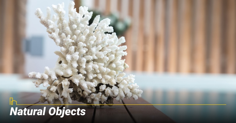 Natural Objects Natural Objects