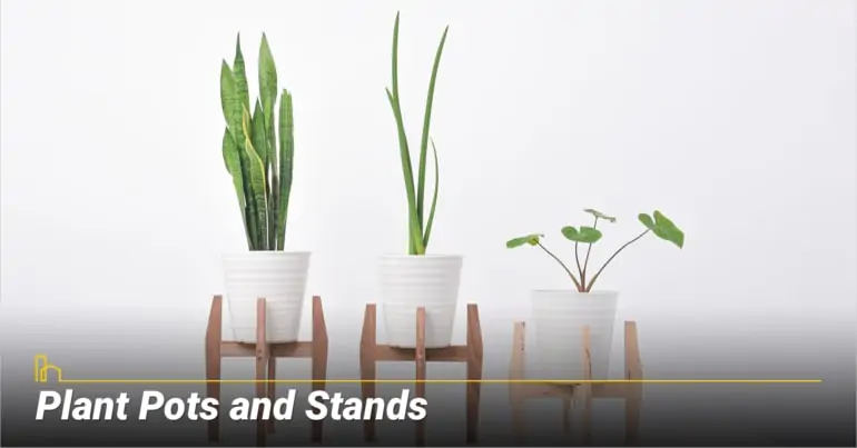 Plant Pots and Stands