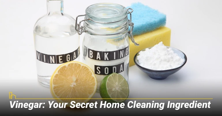 Vinegar: Your Secret Home Cleaning Ingredient