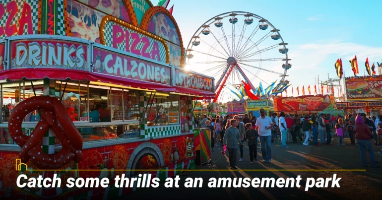 Catch some thrills at an amusement park