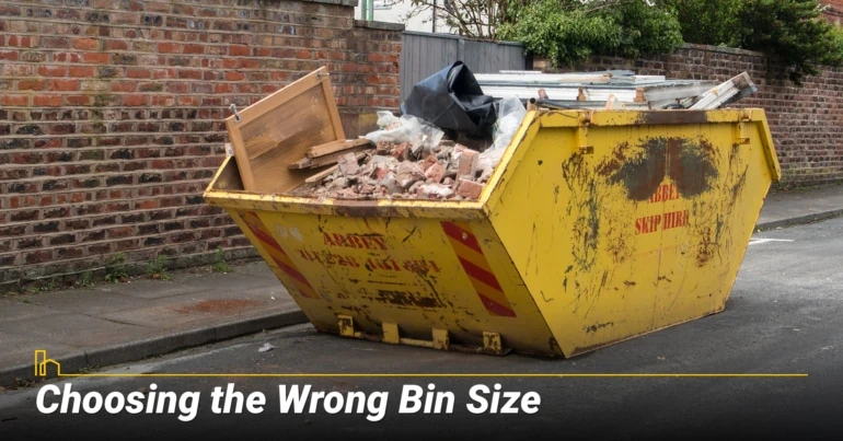 Choosing the Wrong Bin Size